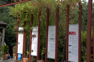 Garden Display