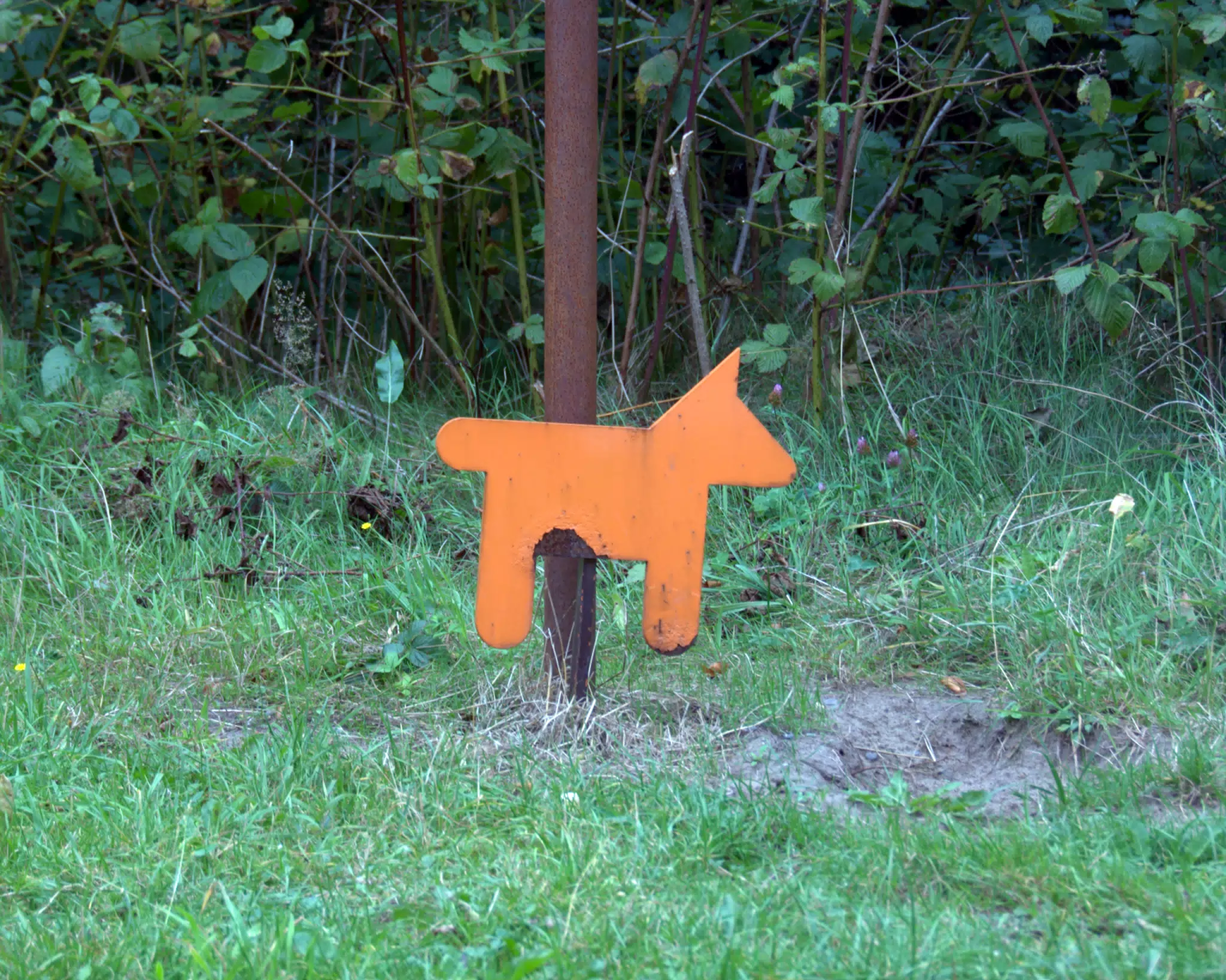 Museum Dog Post