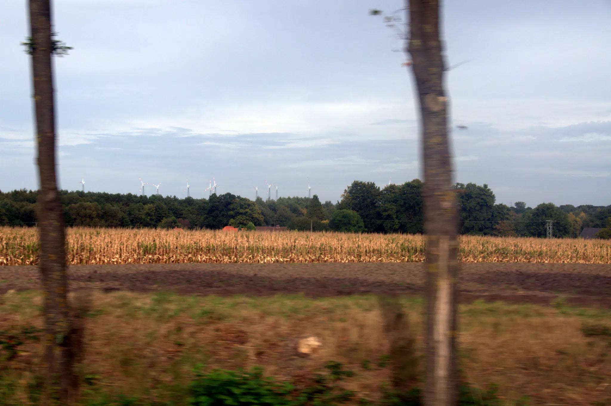 Windmills from Bus Windows