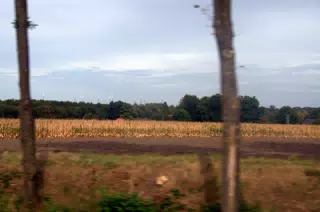 Windmills from Bus Windows