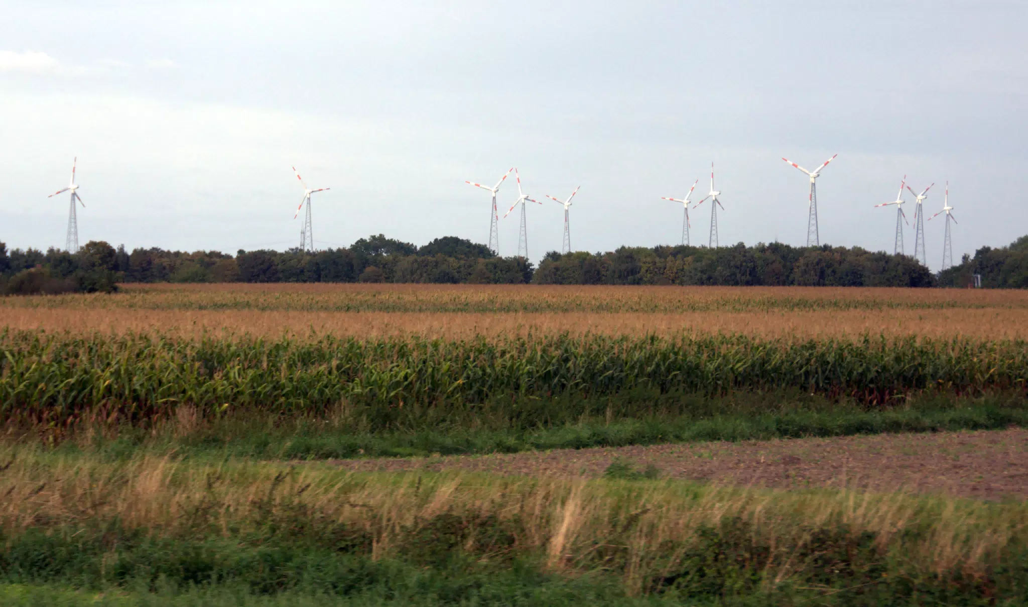 Lots of Windmills in Germany