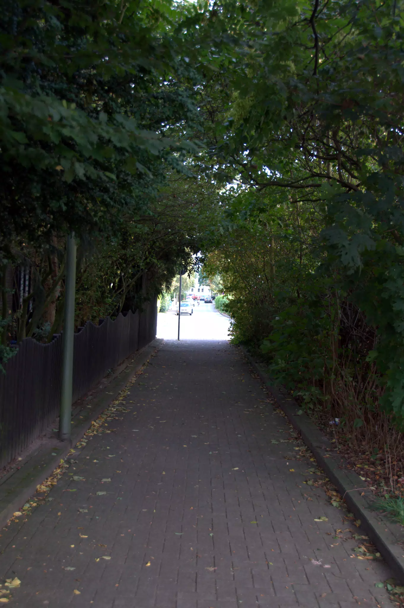 Footpath in Osnabruck
