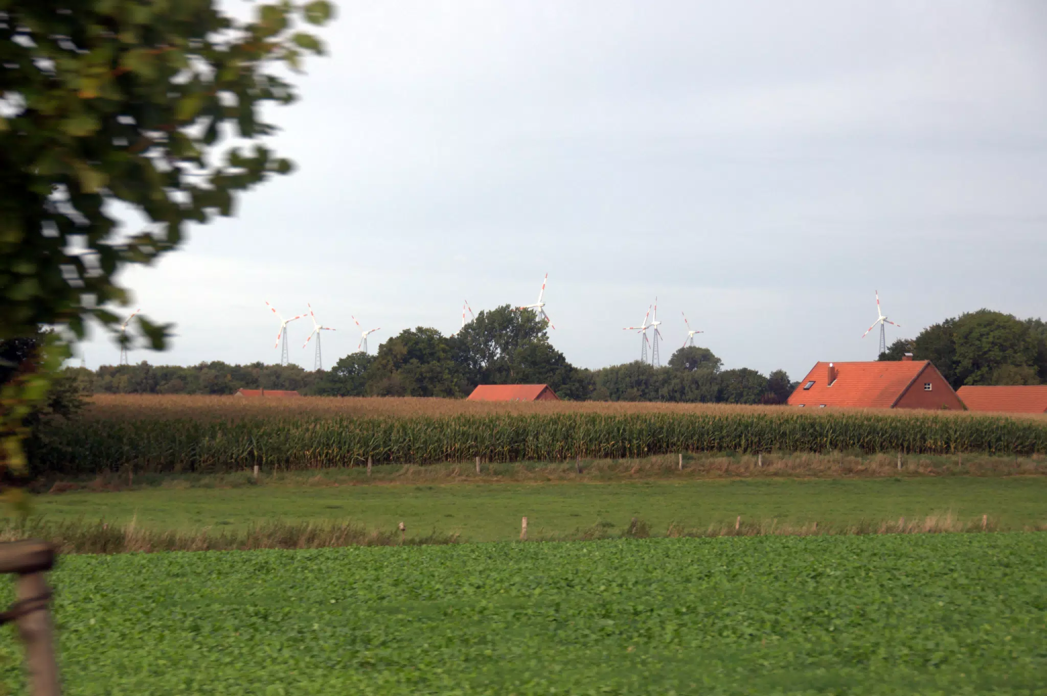 Windmills over German Farm House