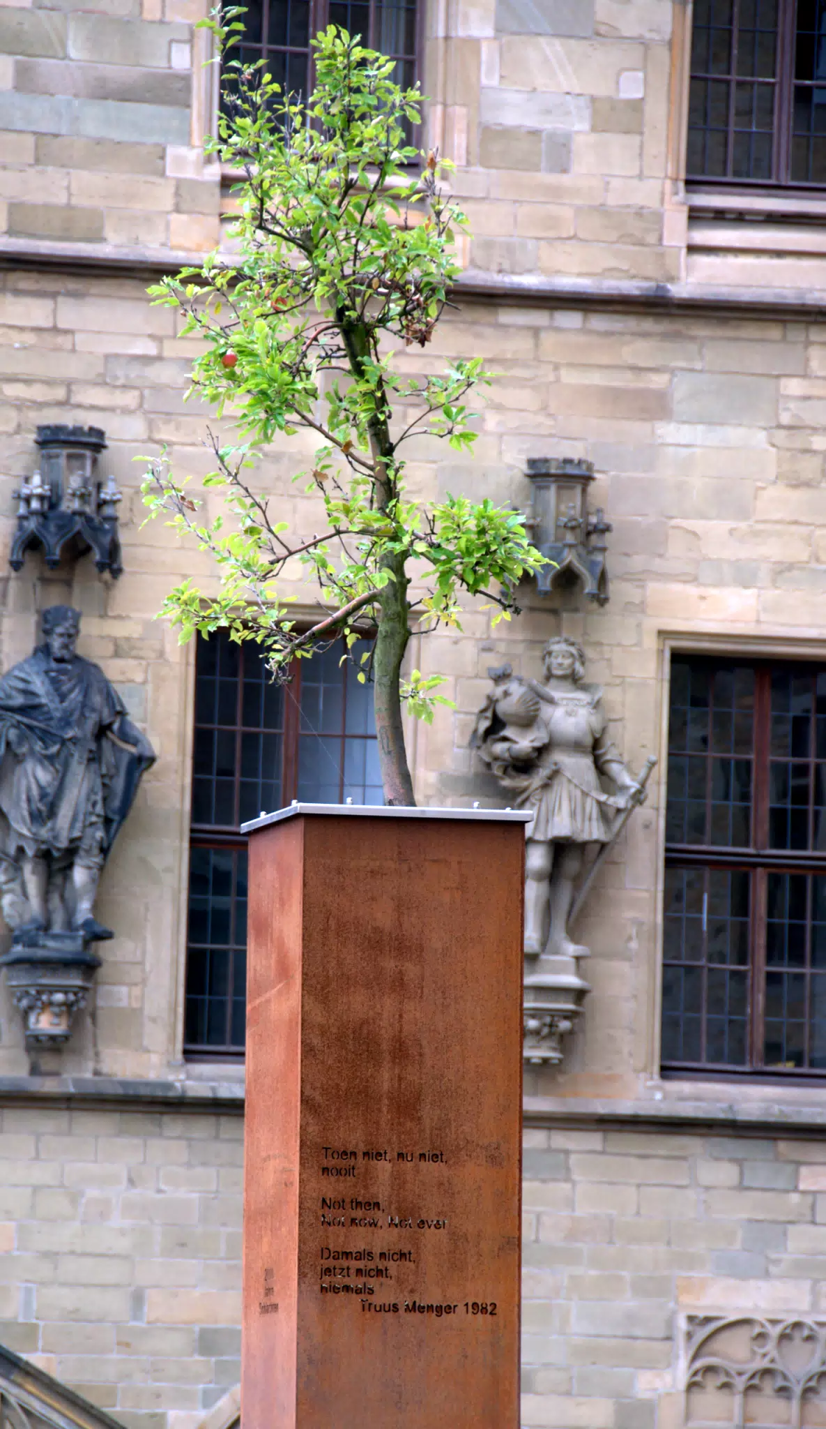 Memorial Tree Before the Rathaus