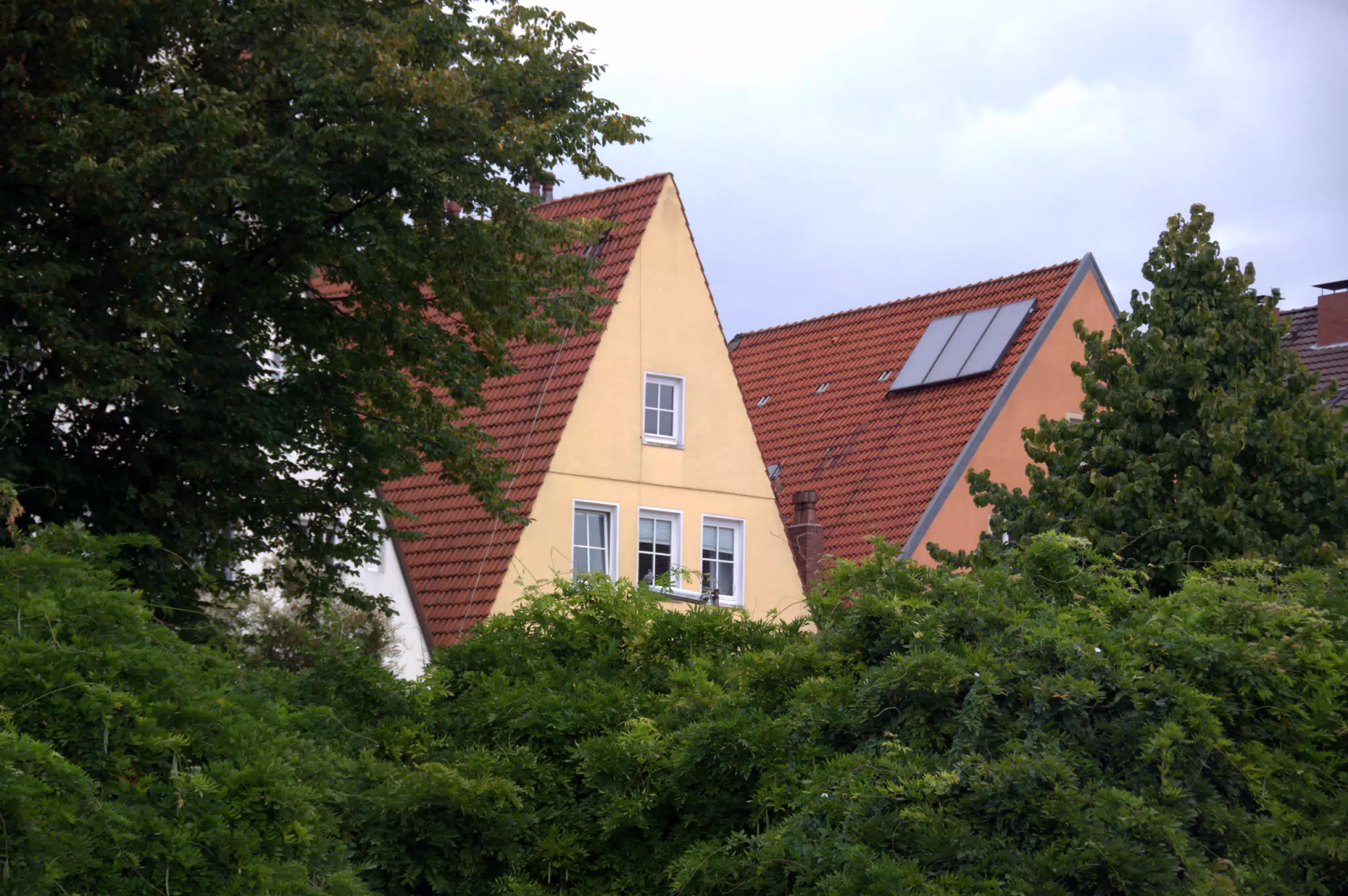 Housetops Over Trees