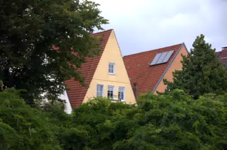 Housetops Over Trees