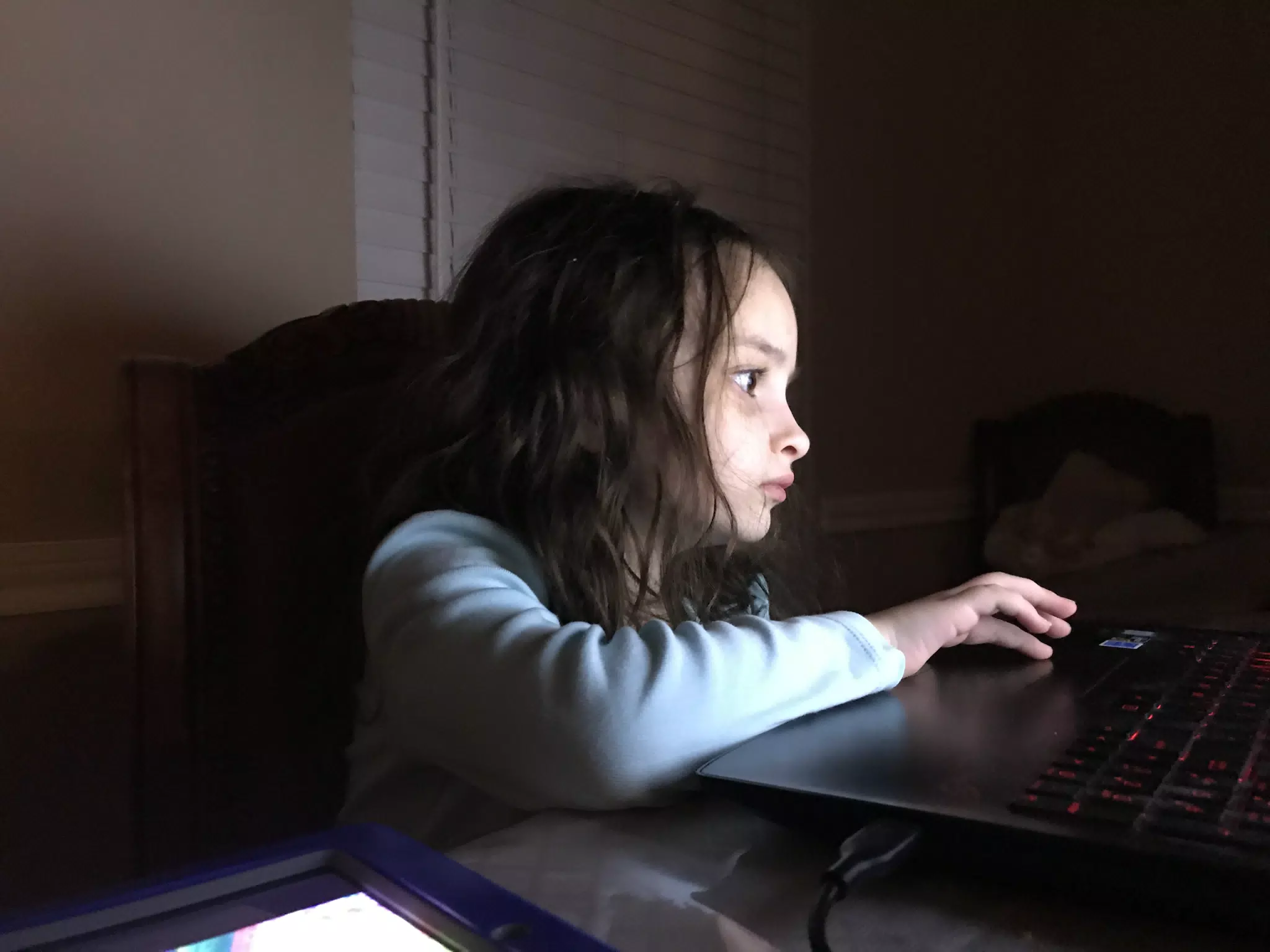 Luciana at the Computer