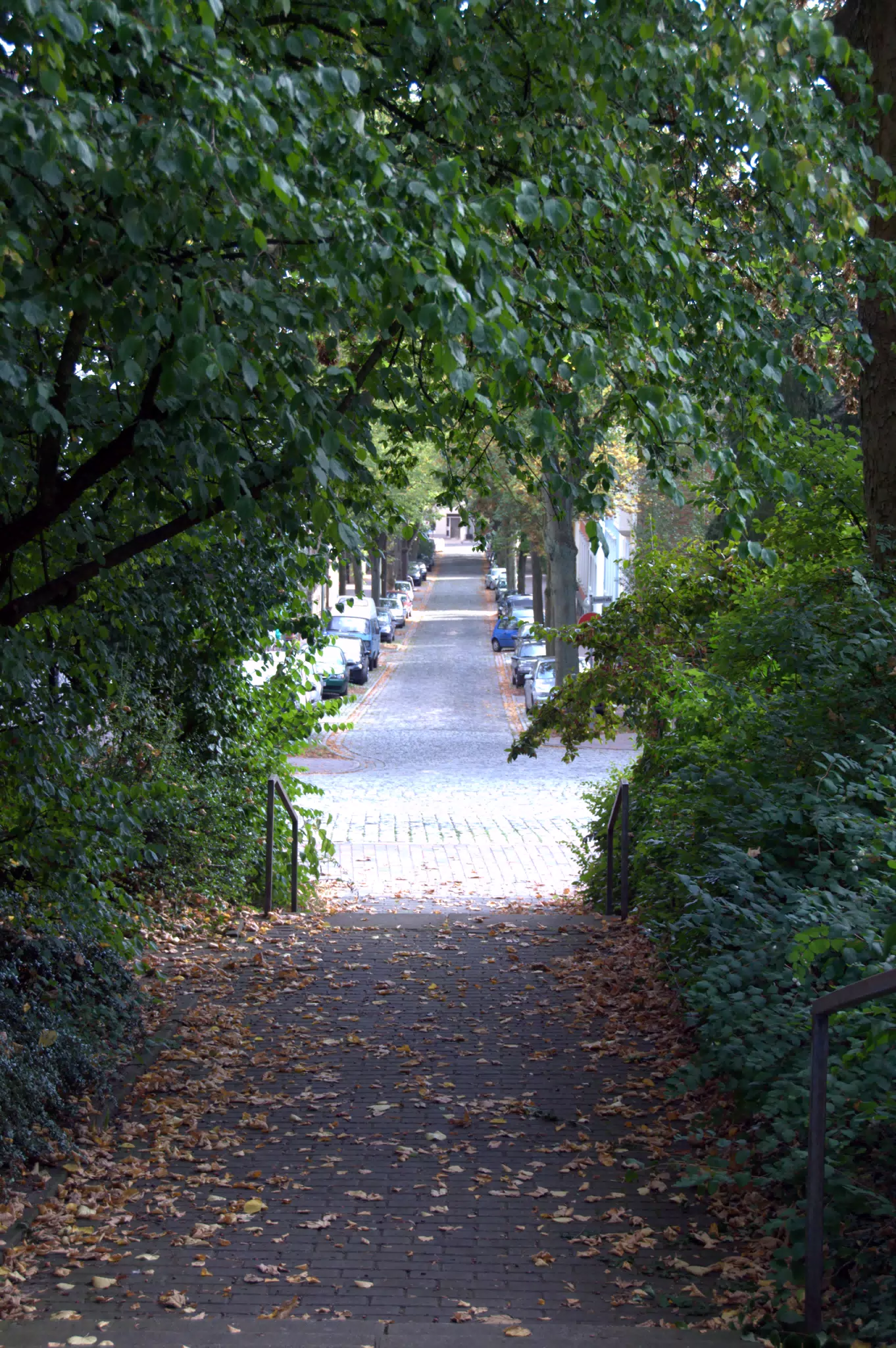 Walkway in Westerberg