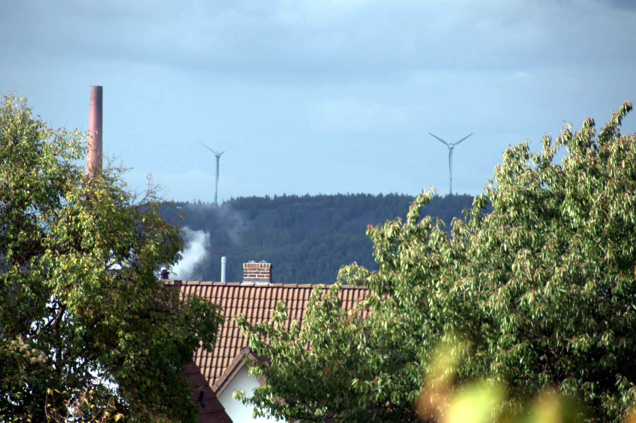 Wind Power from the Botanical Gardens