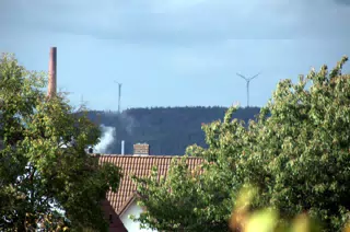Wind Power from the Botanical Gardens