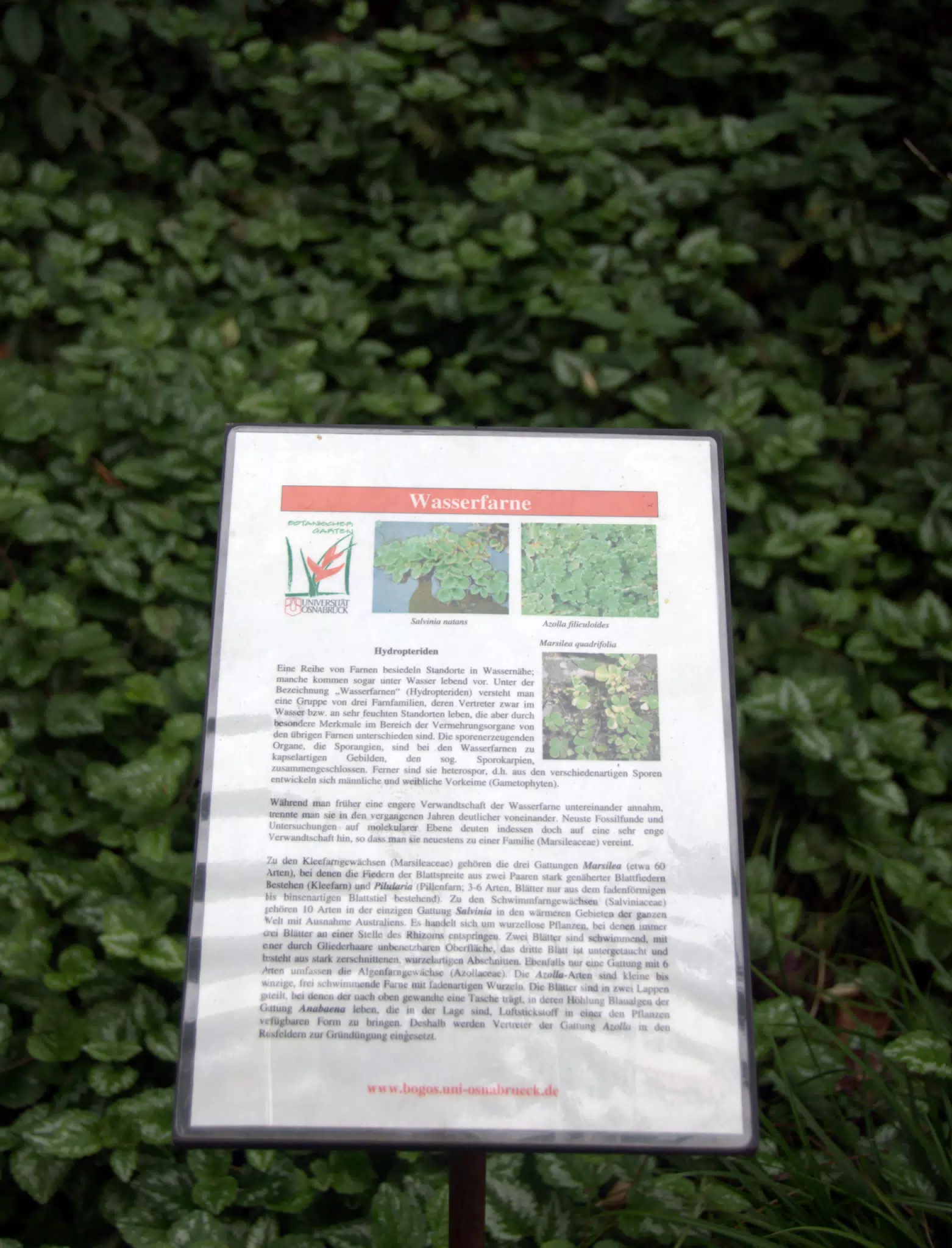 Waterplants Sign