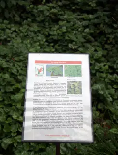 Waterplants Sign