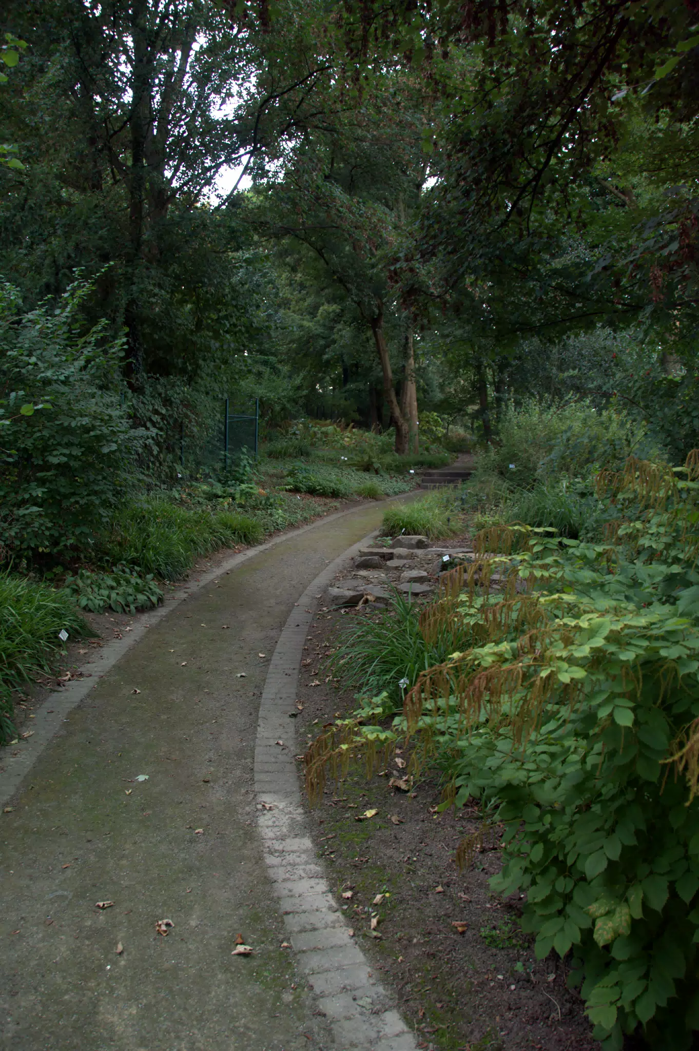 Garden Path
