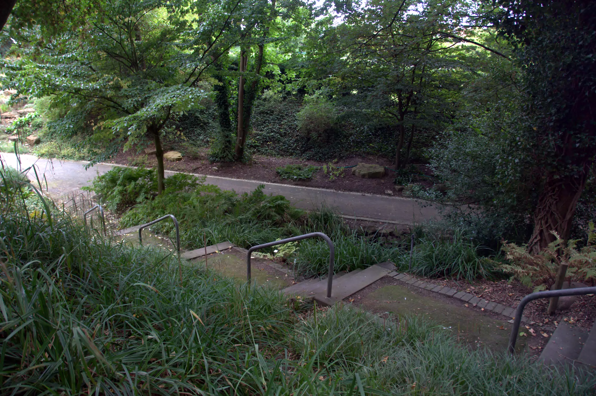 Steps in Gardens
