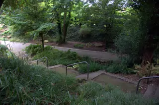 Steps in Gardens