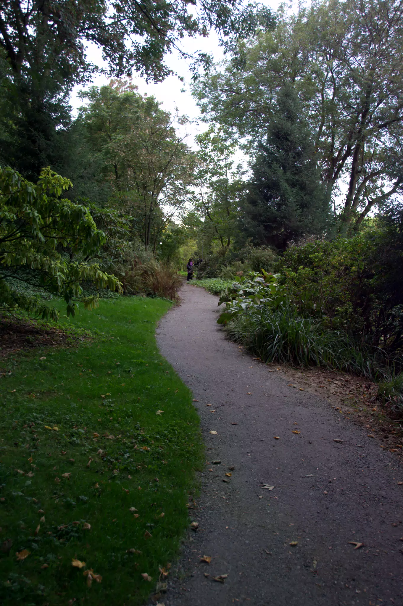 Garden Path 2