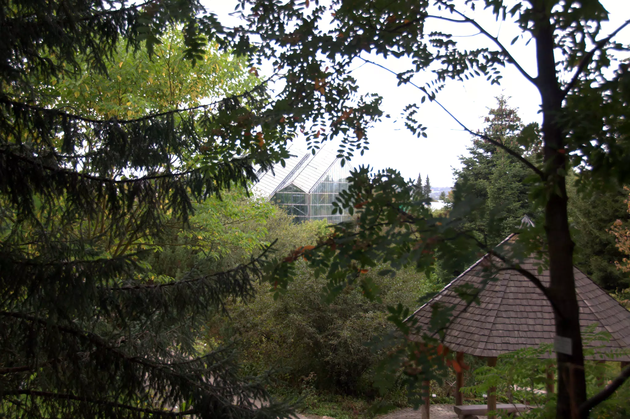 Gazebo and Greenhouse in Gardens