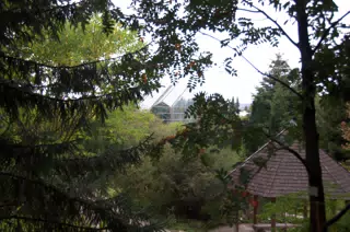 Gazebo and Greenhouse in Gardens