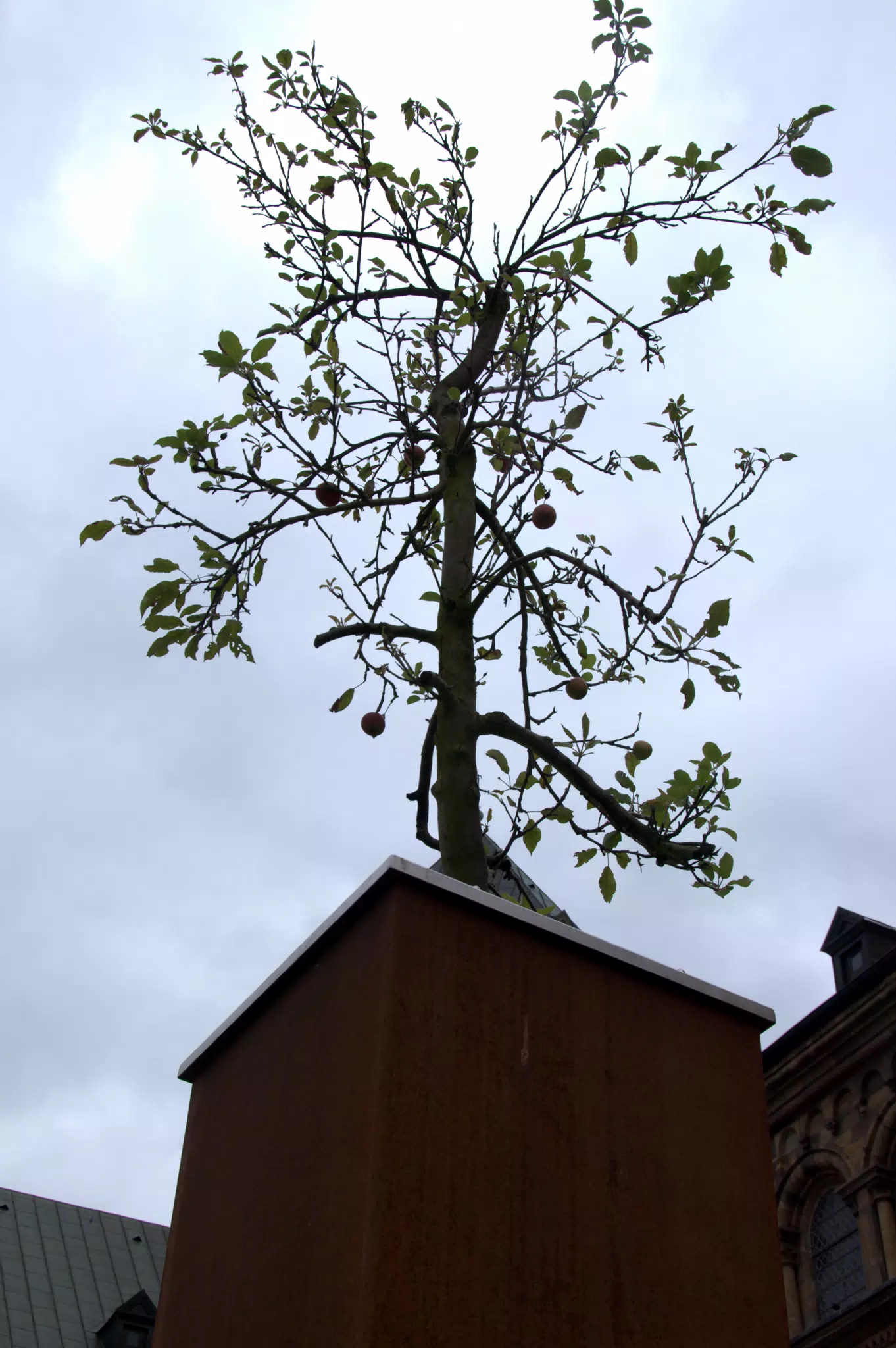 Varusschlacht Memory Tree 2