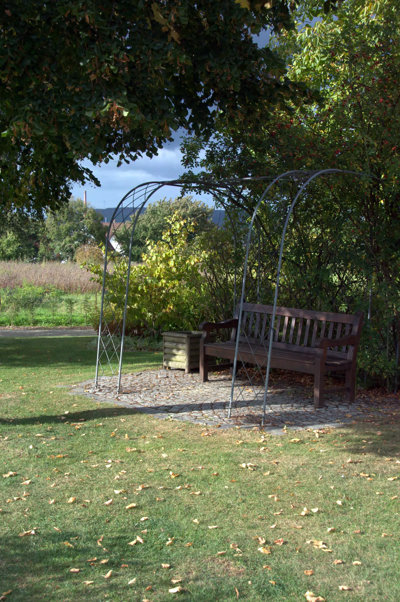 Botanical Bench on which I Sat