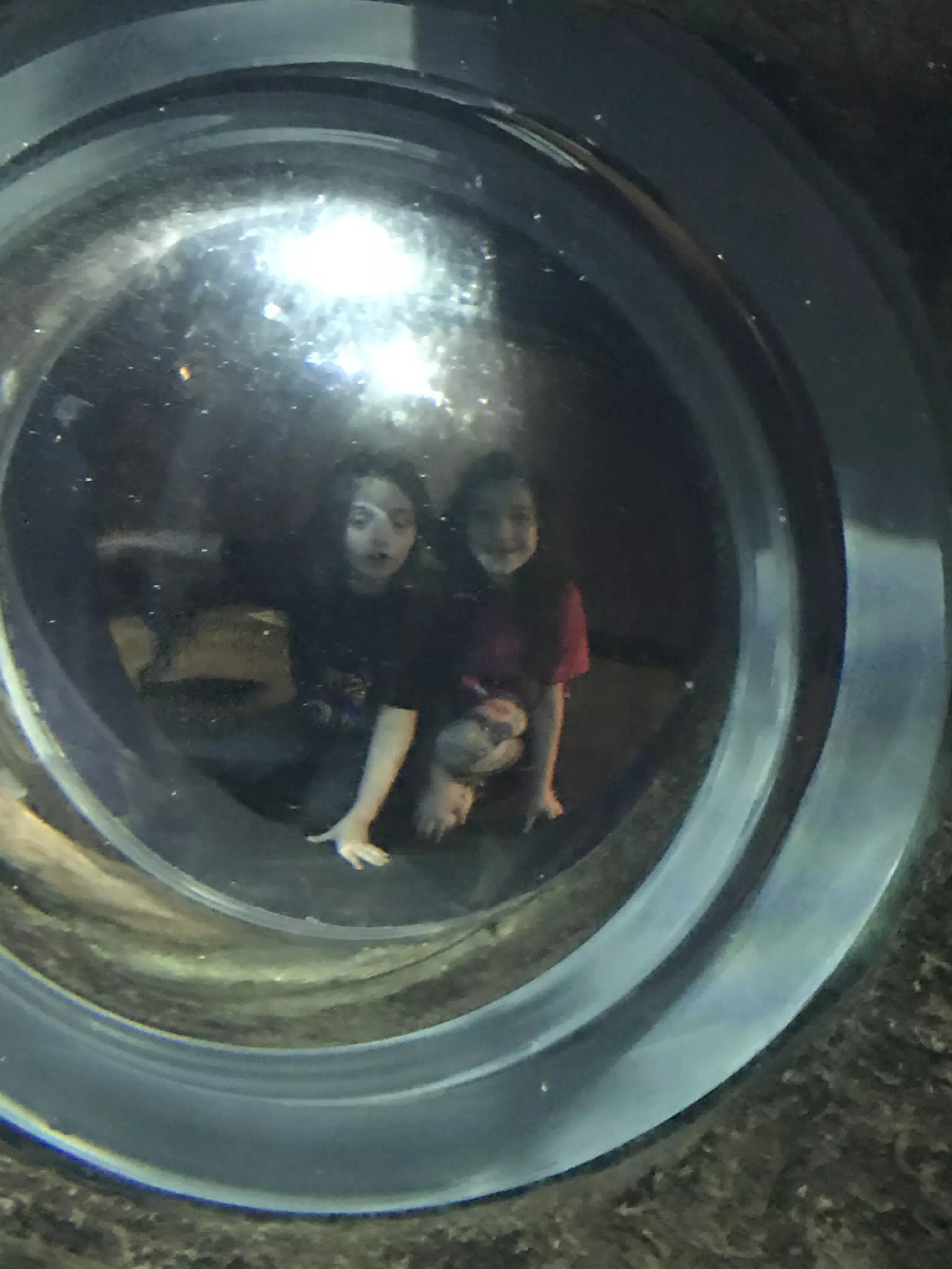 Georgia Aquarium