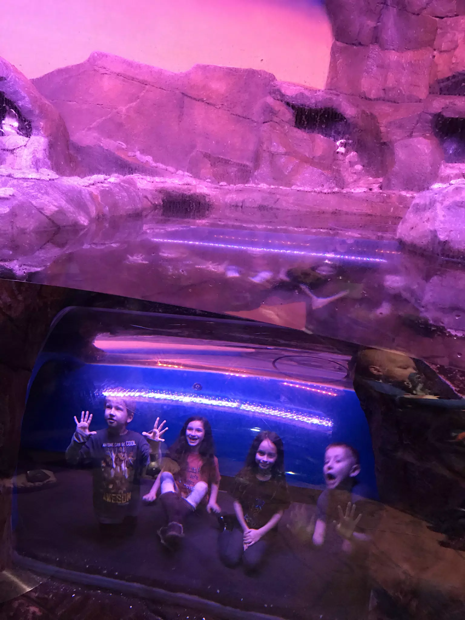 Georgia Aquarium
