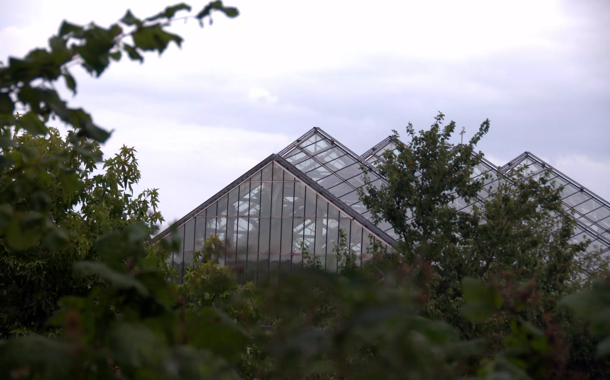 Greenhouse in Botanical Gardens