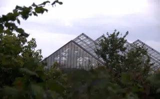Greenhouse in Botanical Gardens