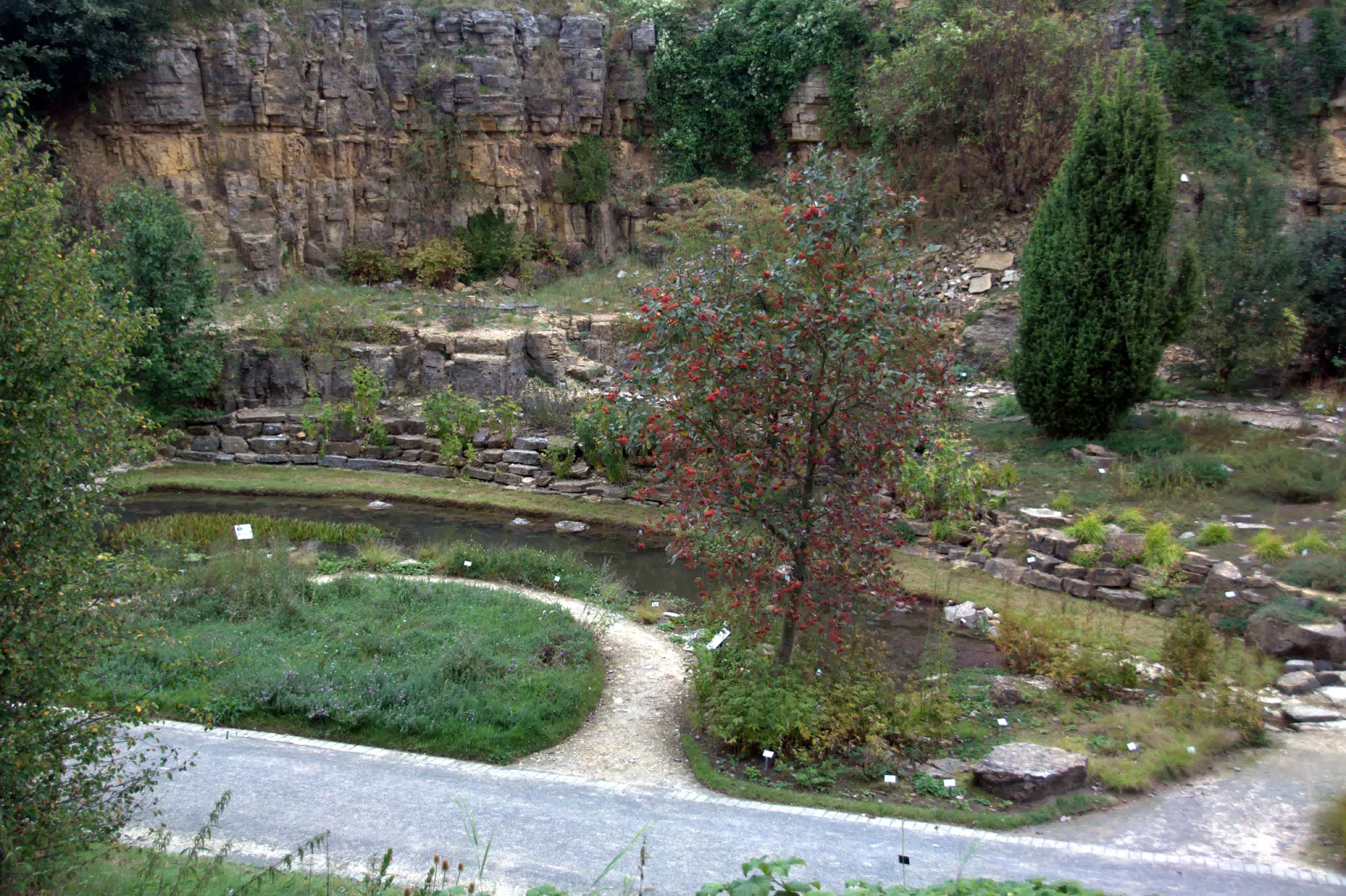 View Down Into Botanical Gardens