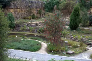 View Down Into Botanical Gardens