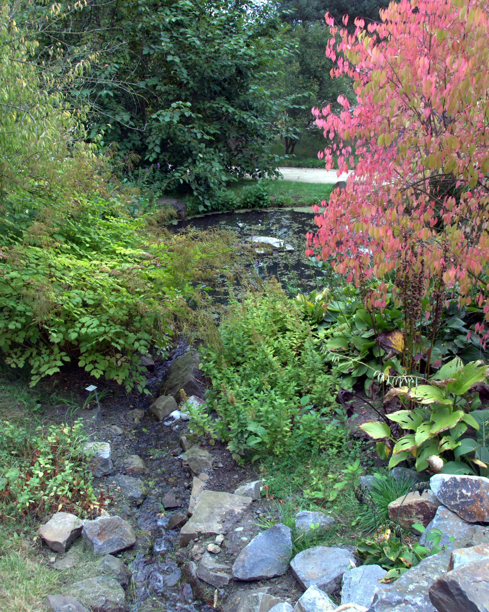 Small Pond at Botanical Gardens