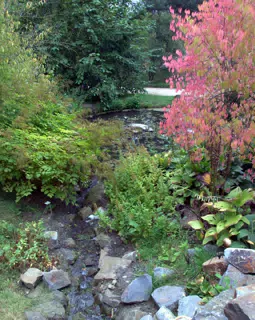 Small Pond at Botanical Gardens