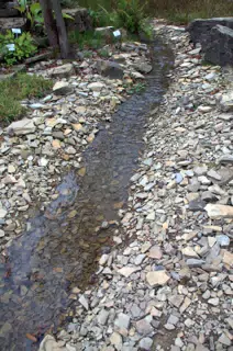 Stream Through Botanical Gardens