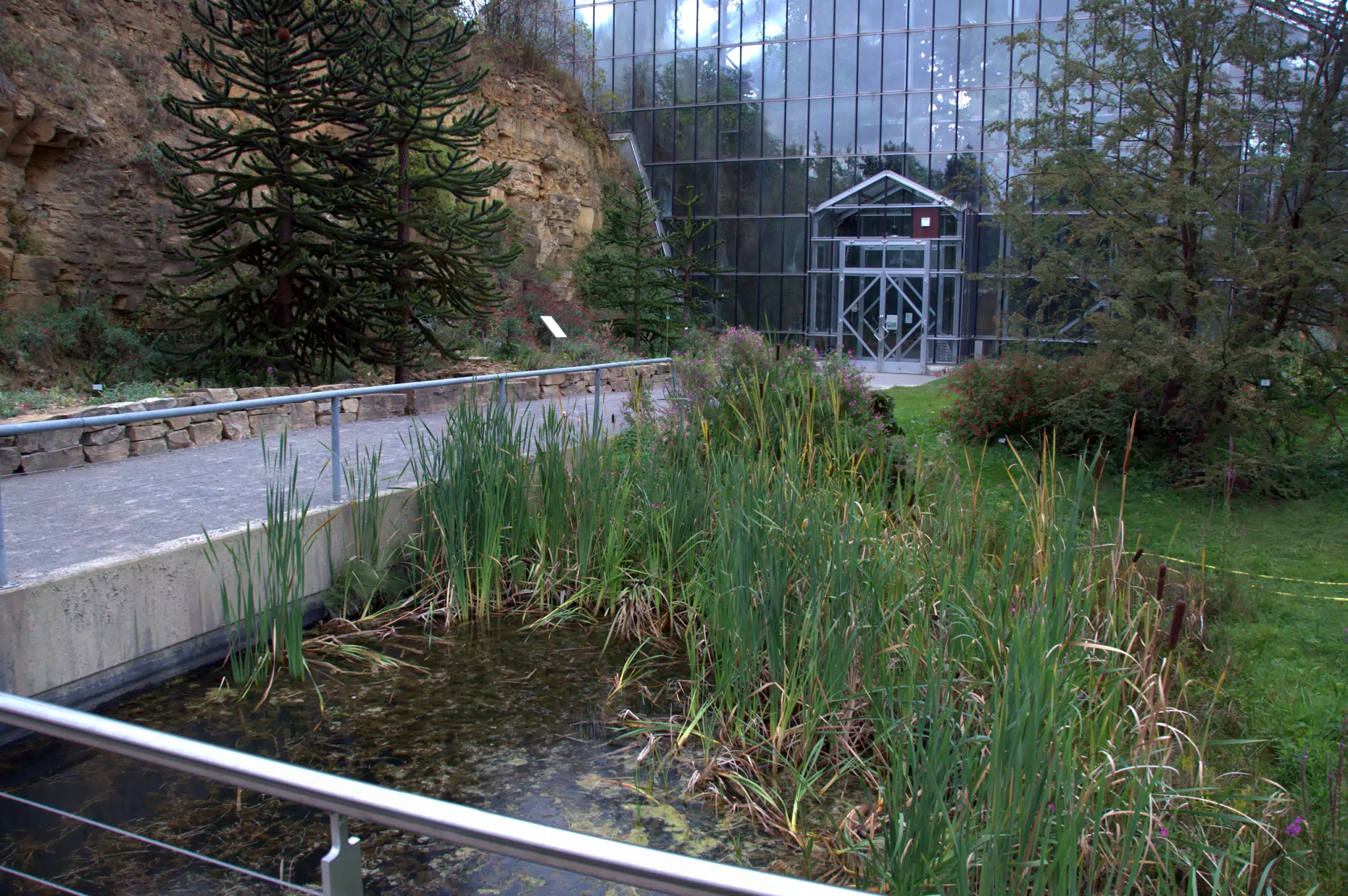 Walk to Greenhouse