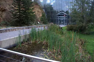 Walk to Greenhouse