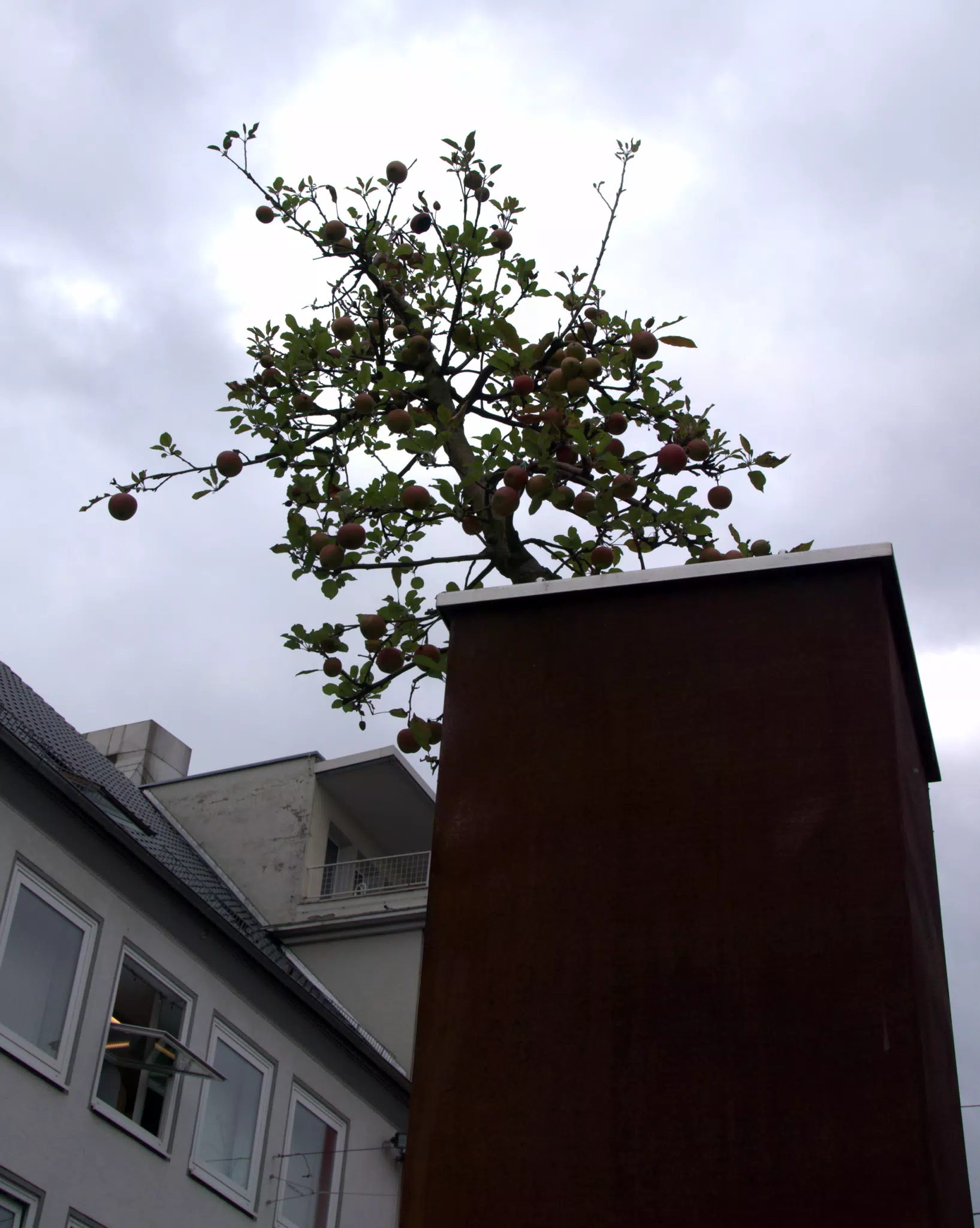 Another Peace Tree