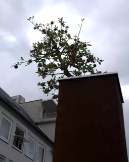 Another Peace Tree