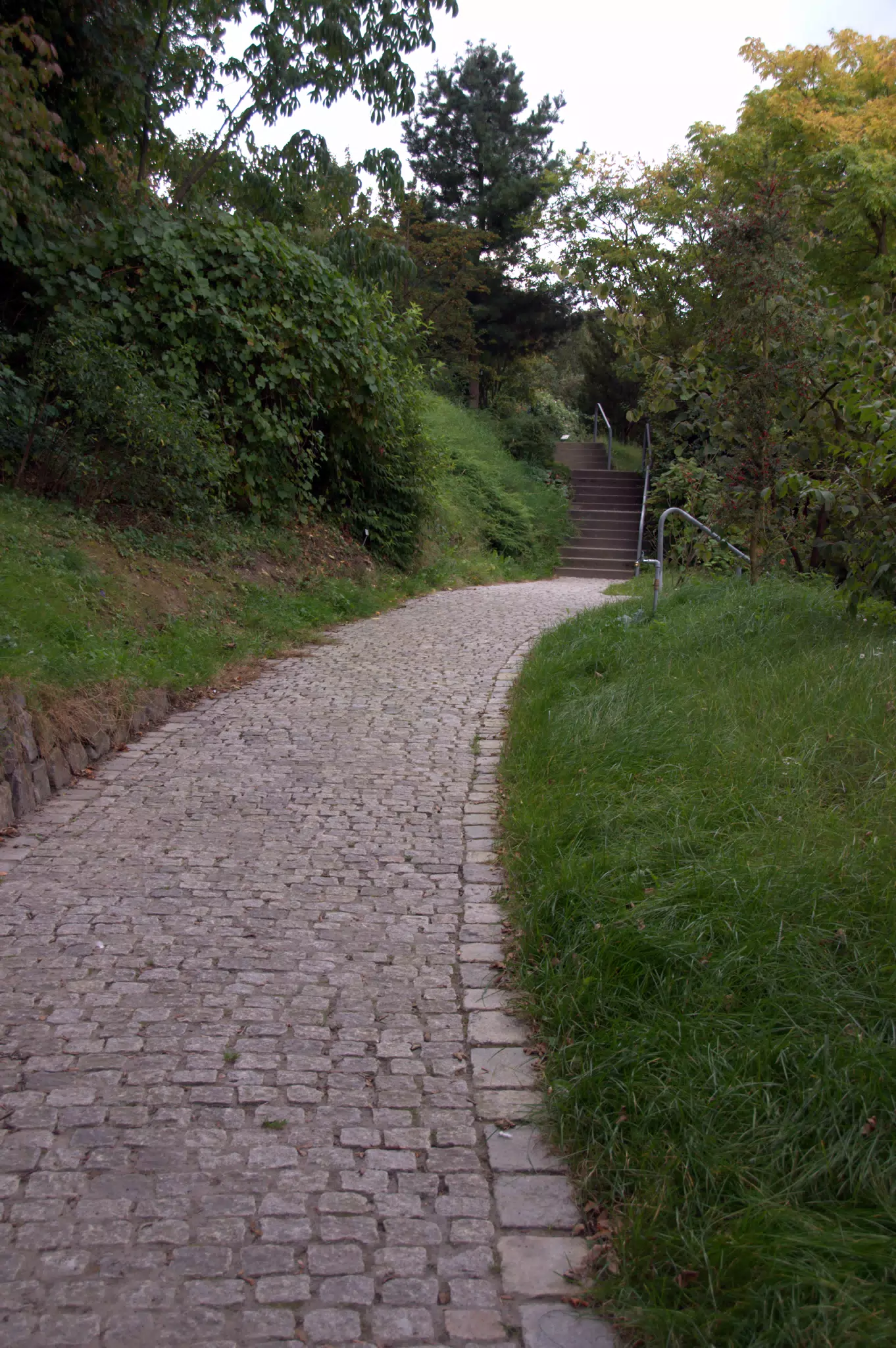 Stone Path in the Botanical Gardens