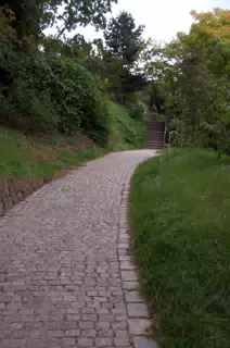 Stone Path in the Botanical Gardens