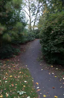 Lonely Garden Path