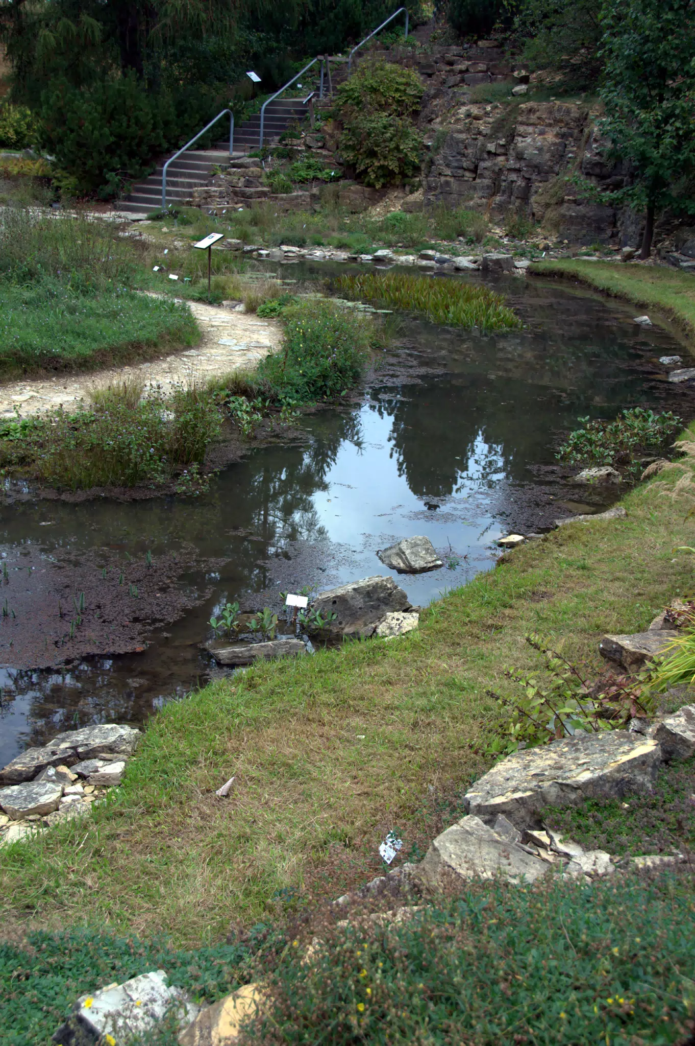 Curved Pond in the Botanical Gardens