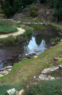 Curved Pond in the Botanical Gardens