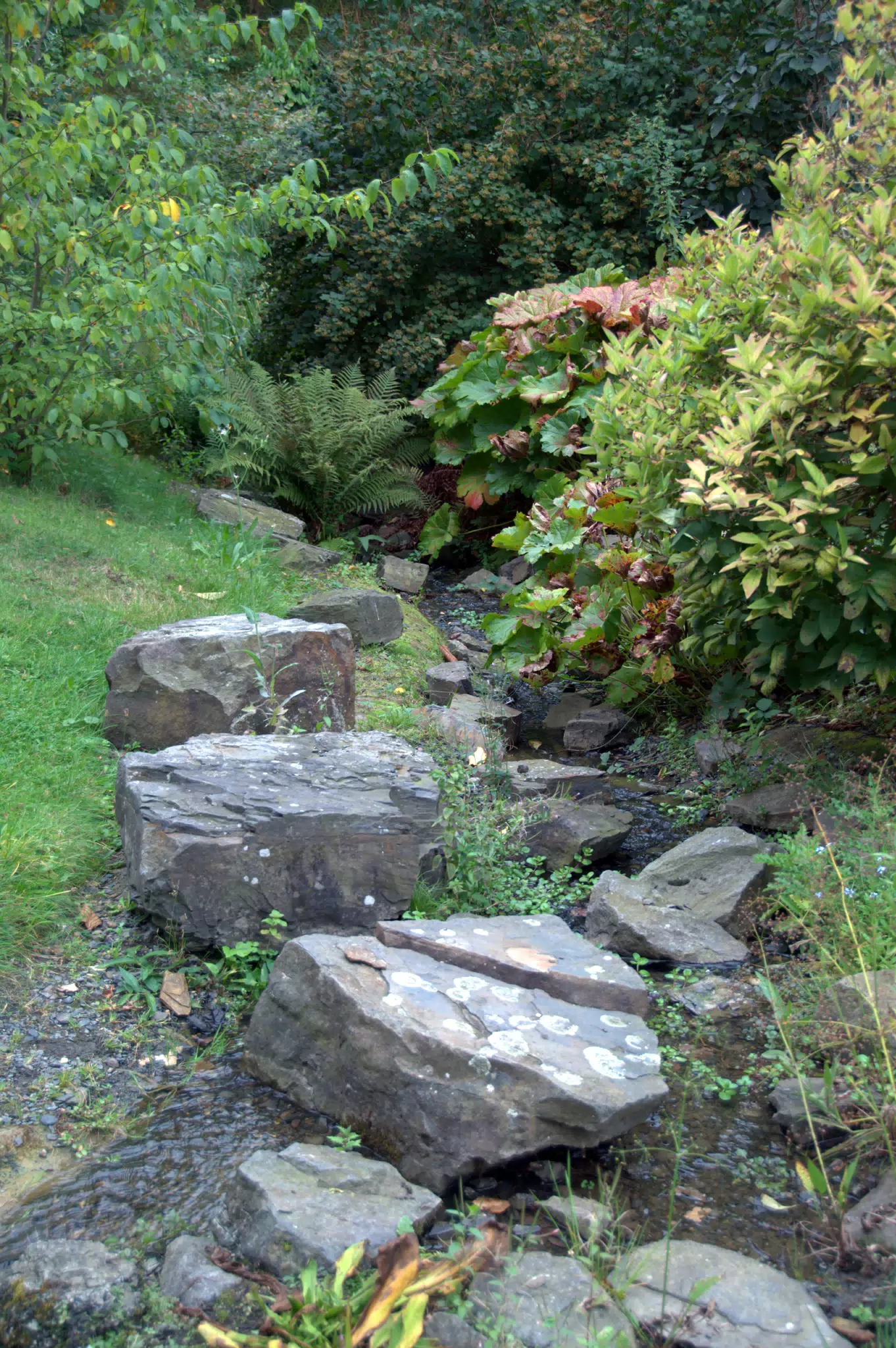 Stream and Big Rocks