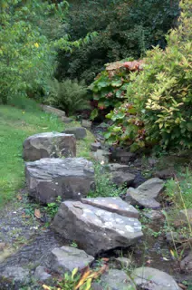 Stream and Big Rocks