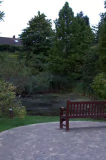 Bench and Pond in the Botanical Gardens