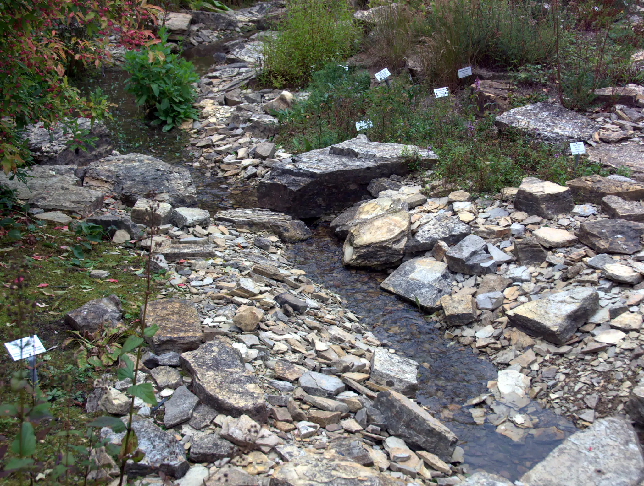 Stream Through Rocks