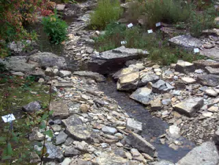 Stream Through Rocks
