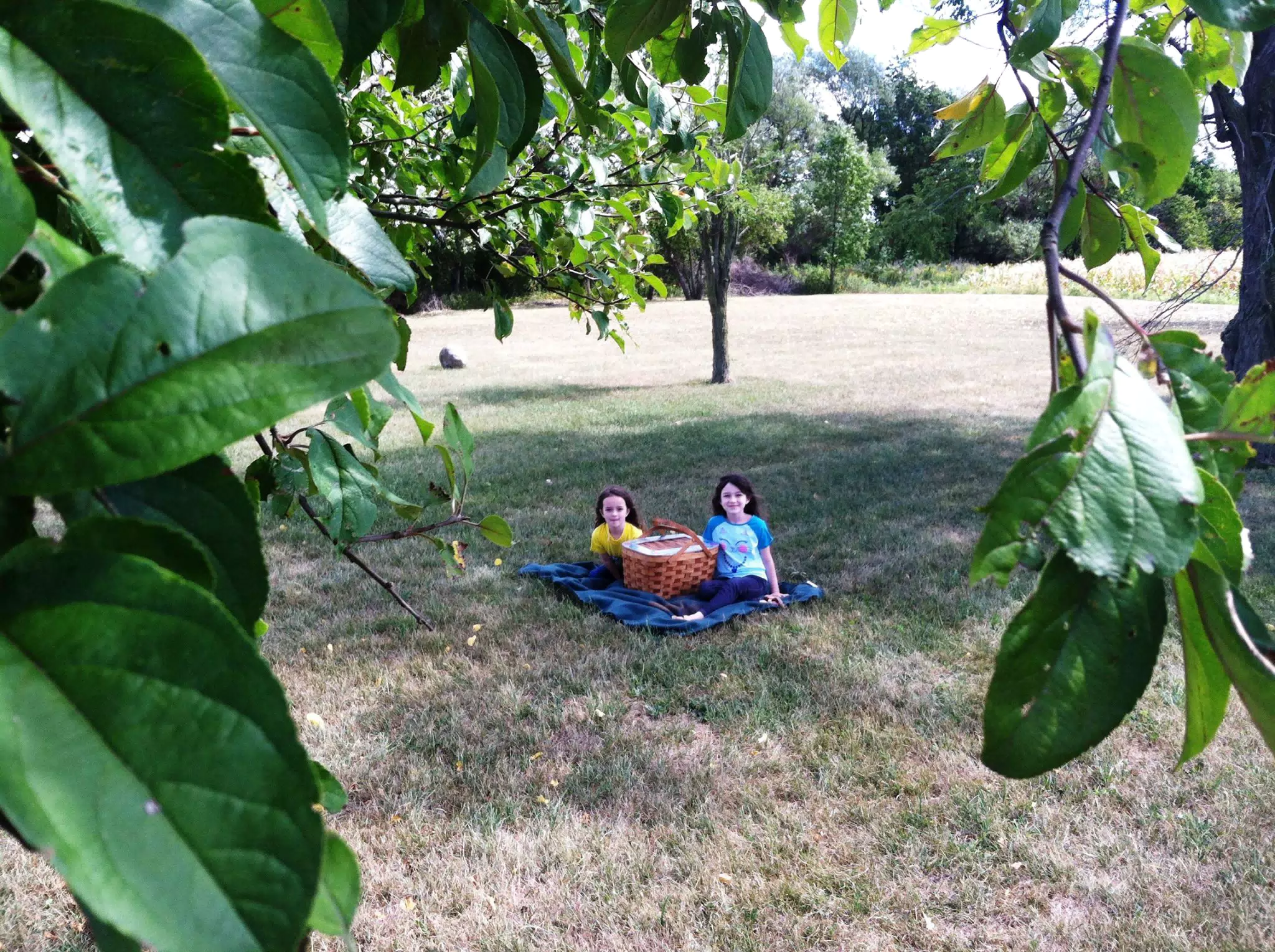 picnic
