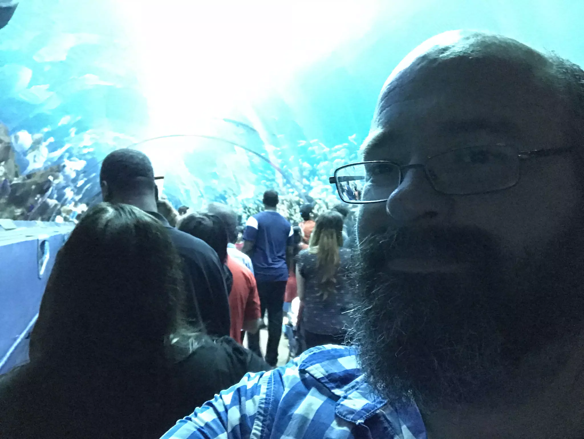Georgia Aquarium