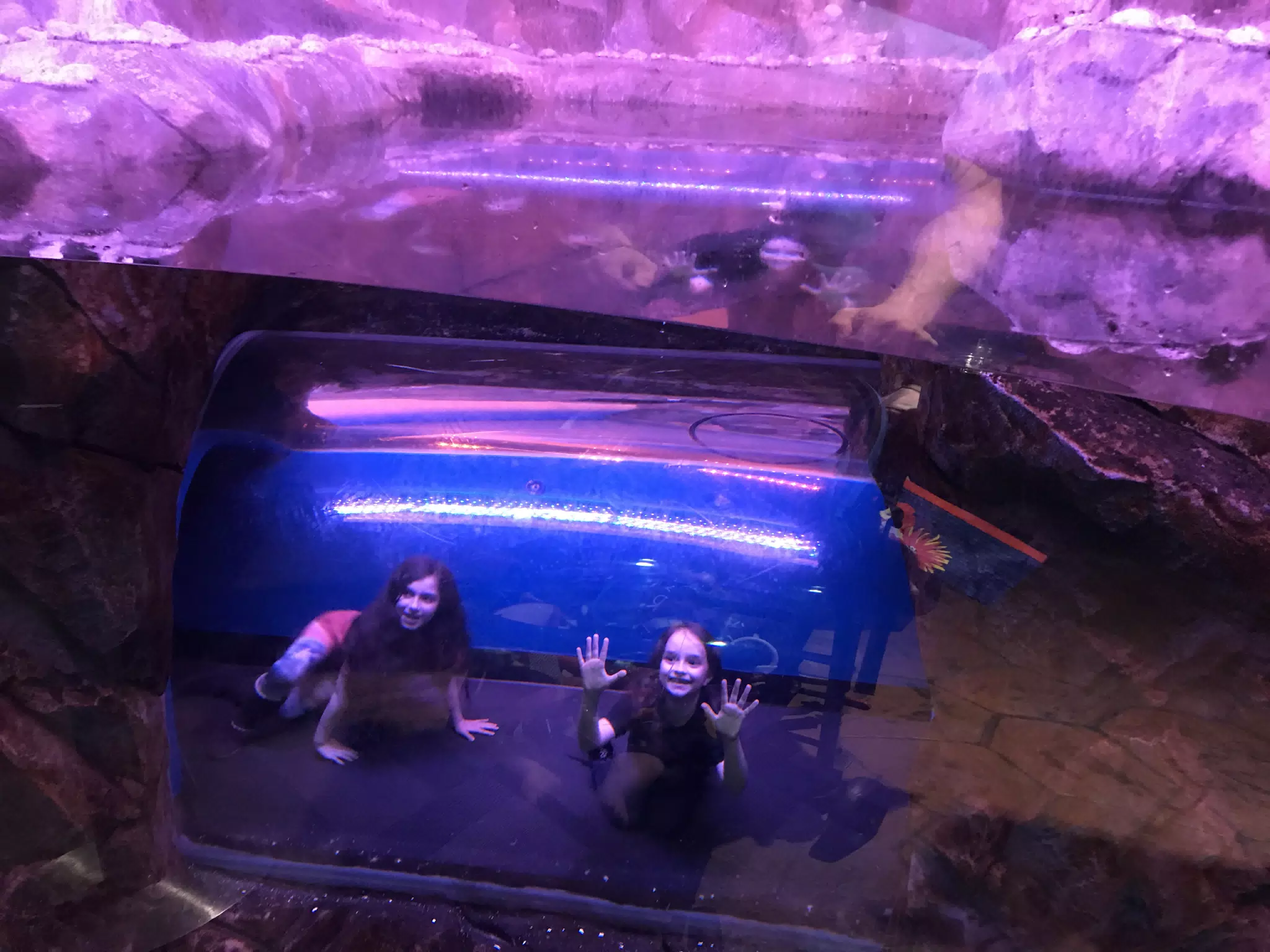 Georgia Aquarium